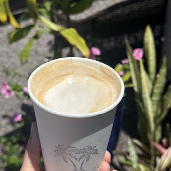 Eden Coffee - Perfect flat white - Coffee & Tea Near Me - Koloa, Hawaii