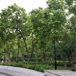 天水圍公園