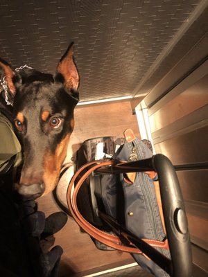 Chouette Hôtel by null