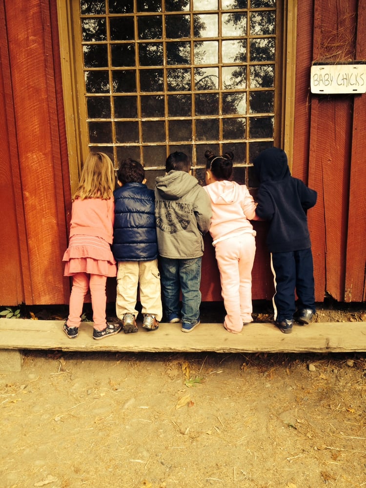 Learning Tree Preschool - childcare center in Hawthorne, NJ