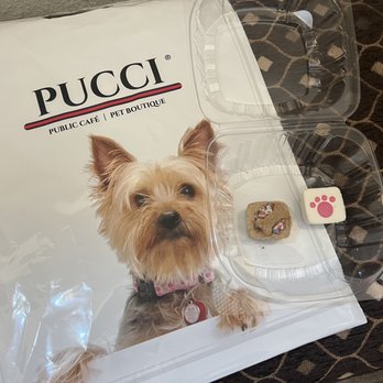 PUCCI Café - Pet Stores Near Me - Katy, Texas PUCCI Café - Pet Stores Near Me - Katy, Texas