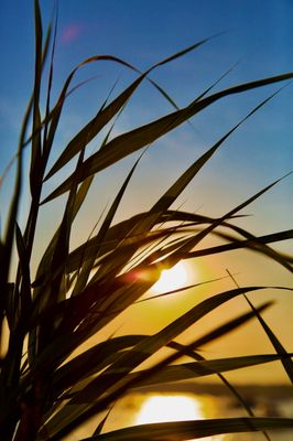 Tanger Outlets Deer Park by null