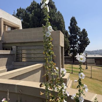 Hollyhock House - Hollyhocks - Museums Near Me - Los Angeles, California Hollyhock House - Hollyhocks - Museums Near Me - Los Angeles, California