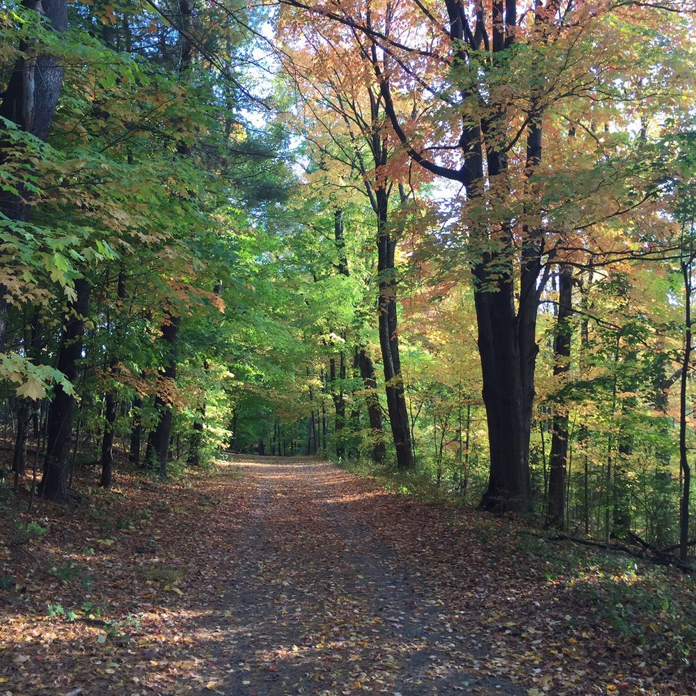 Auerfarm - Hiking Near Me - Bloomfield, Connecticut