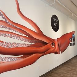 The Bailey-Matthews Shell Museum