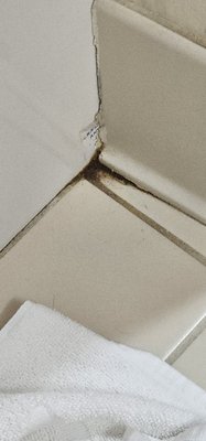 Grand Harbor Resort and Waterpark by null