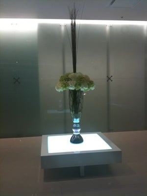 Jungle Cafe & Bakery by null