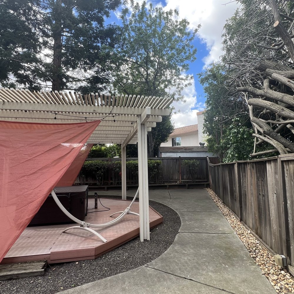 Bay Area Tree Pro - Large winding tree after trimming to fence line - Tree Services Near Me Bay Area Tree Pro - Large winding tree after trimming to fence line - Tree Services Near Me