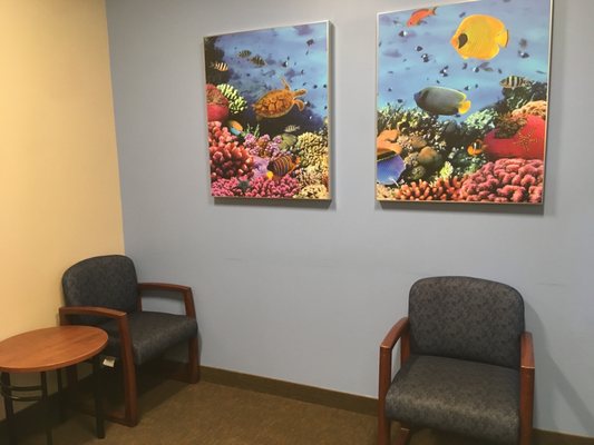 EDWARD-ELMHURST HEALTH CENTER - LOMBARD - Updated February 2026 - 22