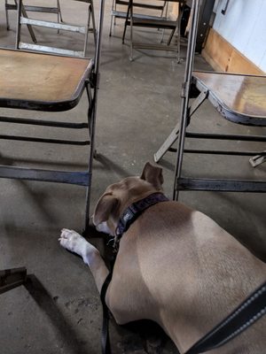 Blip Coffee Roasters by null