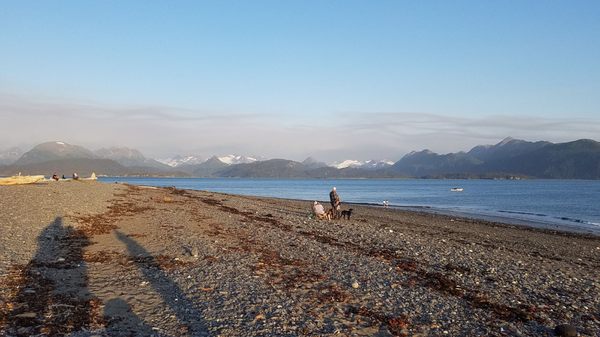 Homer Spit Campground by null