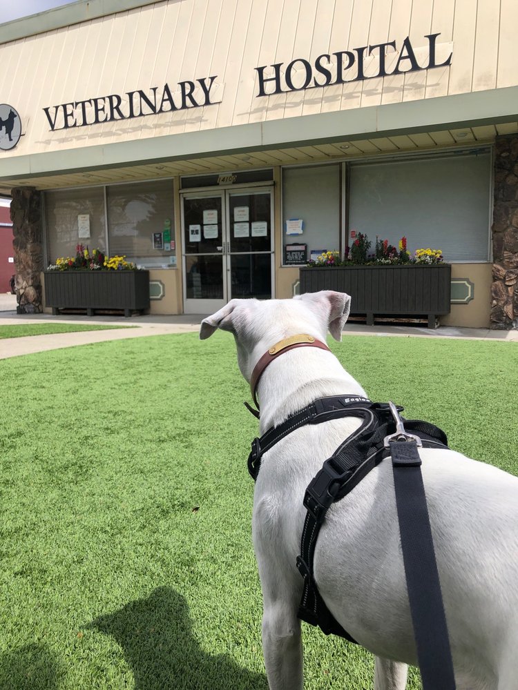 GOOD SAMARITAN VETERINARY HOSPITAL 77 Photos & 230 Reviews 14100 E