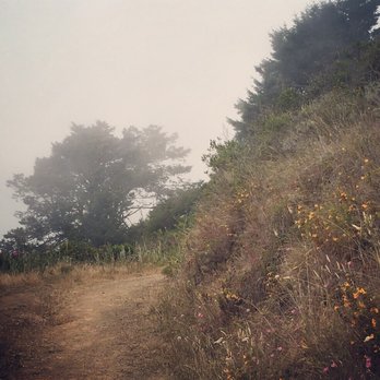 Tennessee Valley - Green Gulch trail-can be steep in sections and very foggy. - Hiking Near Me - Mill Valley, California Tennessee Valley - Green Gulch trail-can be steep in sections and very foggy. - Hiking Near Me - Mill Valley, California