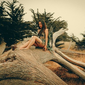 ProWedding - Event Photography Near Me - Sunnyvale, California