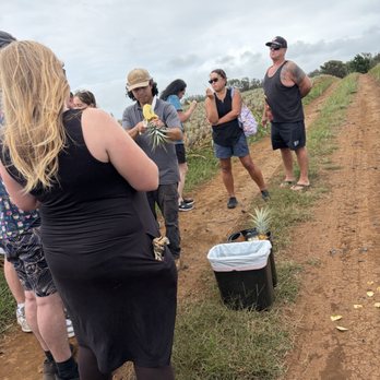Maui Pineapple Tour - The tour guide showing how to cut pineapple - Tours Near Me - Makawao, Hawaii