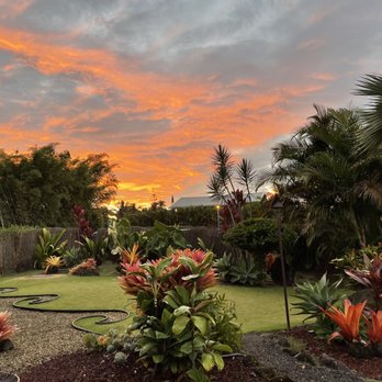 The Dolphin - Sunset backdrop photo spot - Seafood Markets Near Me - Hanalei, Hawaii