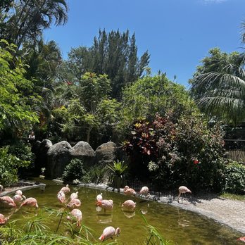 Sunken Gardens - Nurseries & Gardening Near Me - Saint Petersburg, Florida Sunken Gardens - Nurseries & Gardening Near Me - Saint Petersburg, Florida