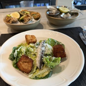 Navy Blue - Caesar Salad - Seafood Near Me - Houston, Texas Navy Blue - Caesar Salad - Seafood Near Me - Houston, Texas