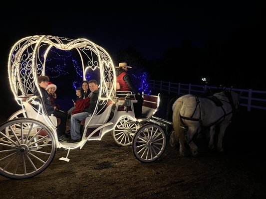 Temecula carriage company by null