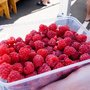 Photo of Harvest Launceston, Community Farmers' Market