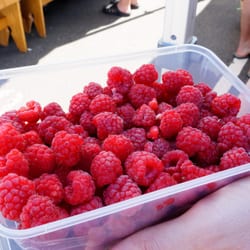 Harvest Launceston, Community Farmers' Market - big box of raspberries ($10) - sooo fresh and sweet!