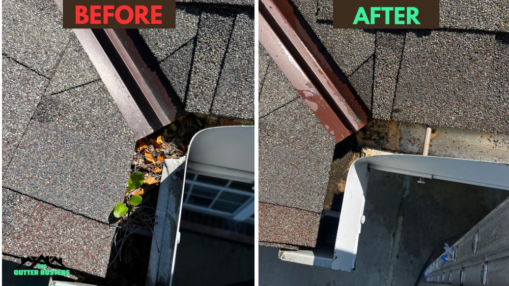 THE GUTTER BUSTERS Updated August 2024 Lakewood, Ohio Gutter