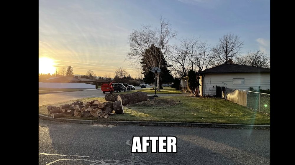 BLAKE’S TREE SERVICE Updated August 2024 33 Photos Post Falls, Idaho Tree Services