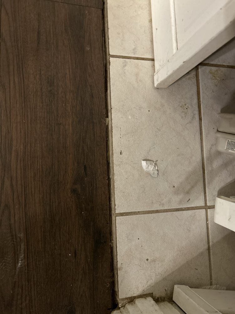 Slide of Mammoth Restoration Arizona