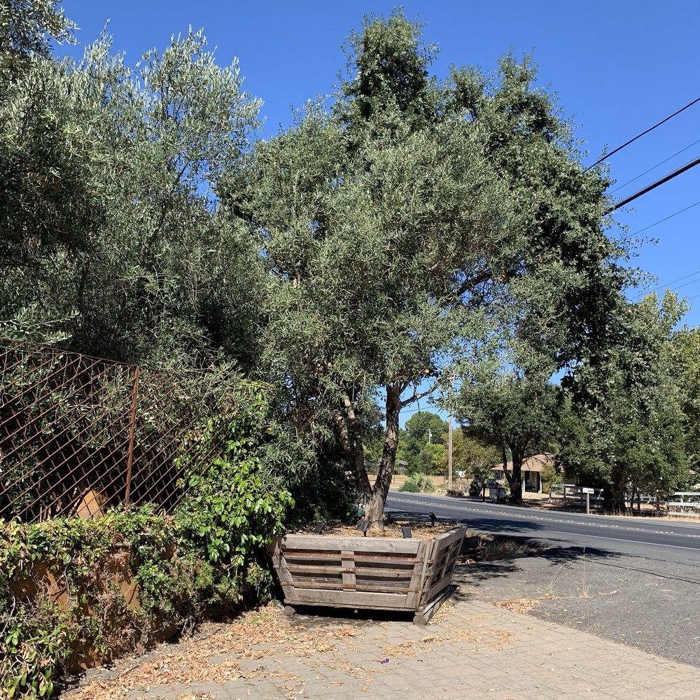 The Farm Sonoma, CA 95476 - Last Updated January 2026 - Yelp