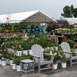 Warmbier Farms