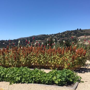 Carmel Valley Ranch - Hotels Near Me - Carmel, California Carmel Valley Ranch - Hotels Near Me - Carmel, California