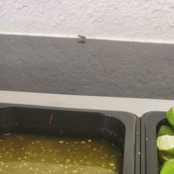 Tacos Puro Jalisco - Roaches tasting all the products on the self serve table making sure it's fresh - Mexican Near Me - Pomona, California Tacos Puro Jalisco - Roaches tasting all the products on the self serve table making sure it's fresh - Mexican Near Me - Pomona, California