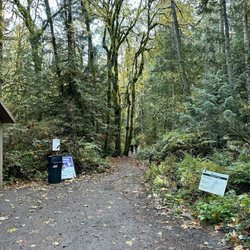 Grand Forest - Trail head