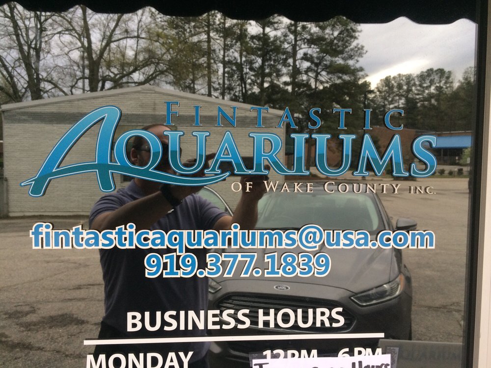 FINTASTIC AQUARIUMS OF WAKE COUNTY 12 Reviews 303 E Durham Rd, Cary