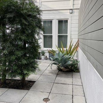 SF Gardening Services - a patio with a potted plant - Gardeners Near Me - San Francisco, California
