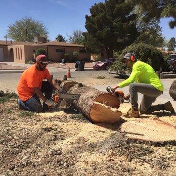 American Tree Services - Tree Services Near Me