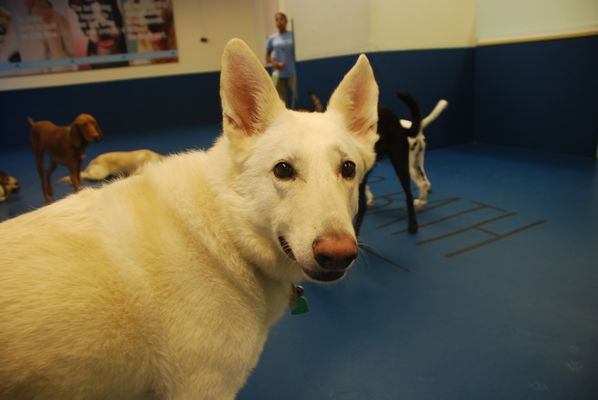 Biscuits & Bath - Riverside Blvd by null