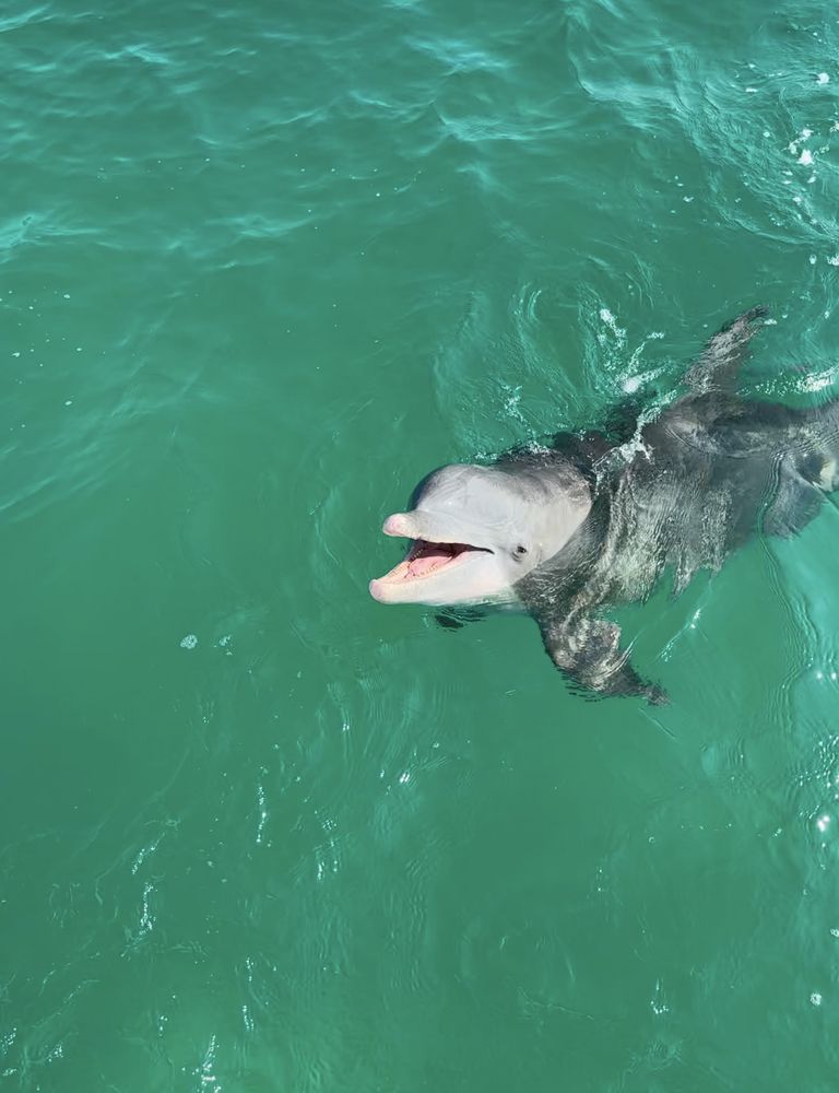 GOOD JIBEZ ONLY BOAT TOURS - Updated September 2024 - 4114 Jan Cooley