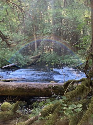 Tamolitch Falls (Blue Pool) by null