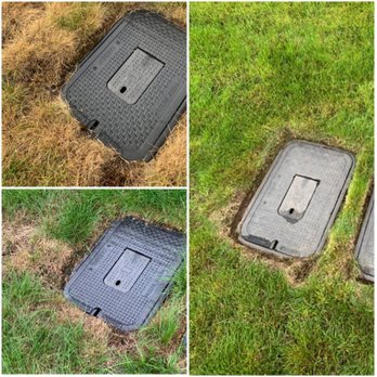Saela Pest Control - Top left is how my grass looked before Edge's lawn service, bottom left and right shows the progression. - Pest Control Near Me - Kent, Washington