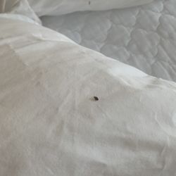 Quality Inn Selah North Park