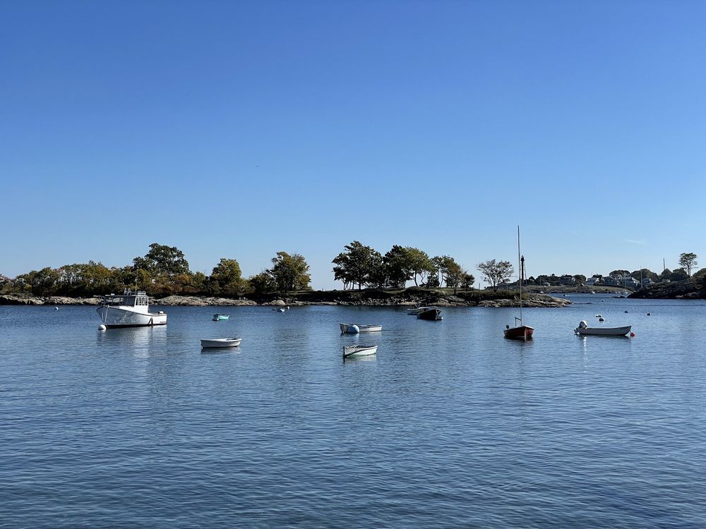 Food from Little Harbor Lobster