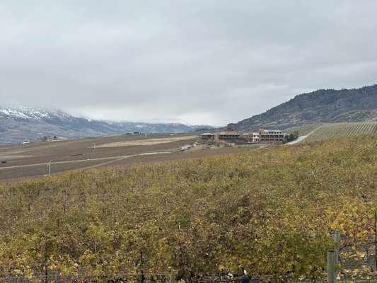 Burrowing Owl Estate Winery by null