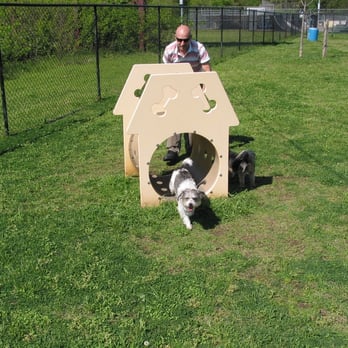 Chattanooga Chew Chew - Play area. - Dog Parks Near Me - Chattanooga, Tennessee Chattanooga Chew Chew - Play area. - Dog Parks Near Me - Chattanooga, Tennessee