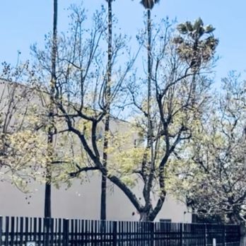 Sun Valley Junior High School - Middle Schools & High Schools Near Me - Sun Valley, California Sun Valley Junior High School - Middle Schools & High Schools Near Me - Sun Valley, California