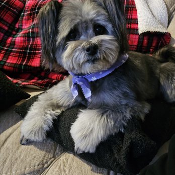 Barking Spot - Pet Stores Near Me - Chula Vista, California