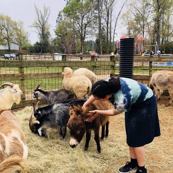 Old MacDonald's Farm - Venues & Event Spaces Near Me - Humble, Texas Old MacDonald's Farm - Venues & Event Spaces Near Me - Humble, Texas