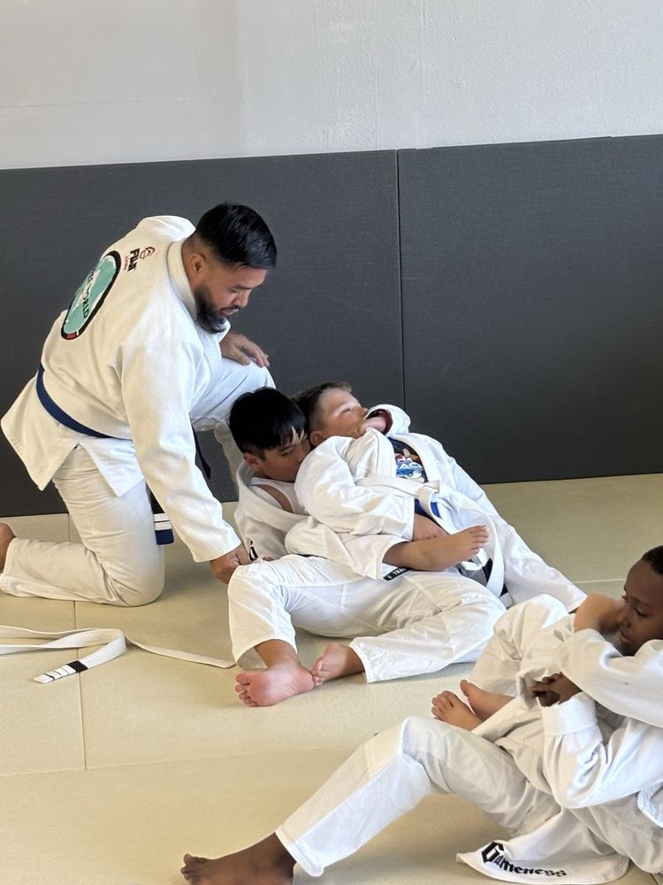 Free World Jiu Jitsu Logo