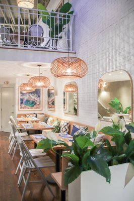 Bluestone Lane Harvard Square Café by null