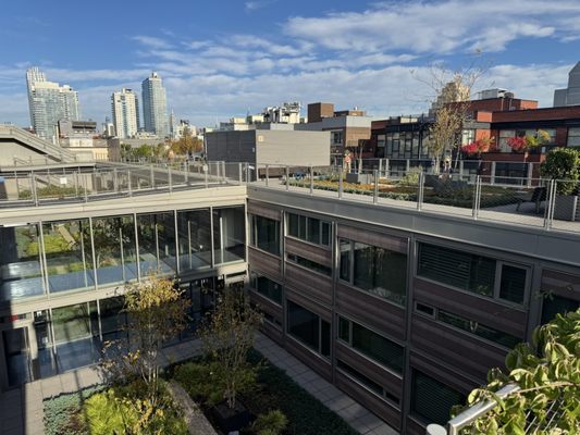 Pod Brooklyn Hotel by null